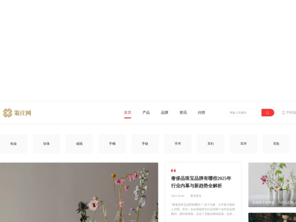 策庄网预览图