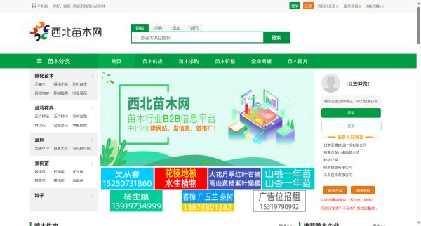 西北苗木网预览图