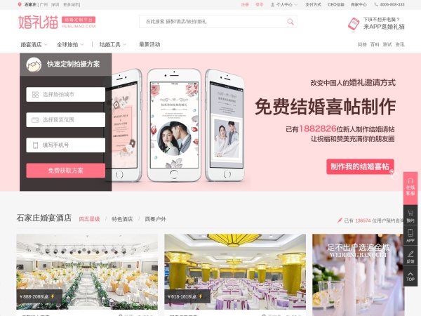 婚礼猫预览图
