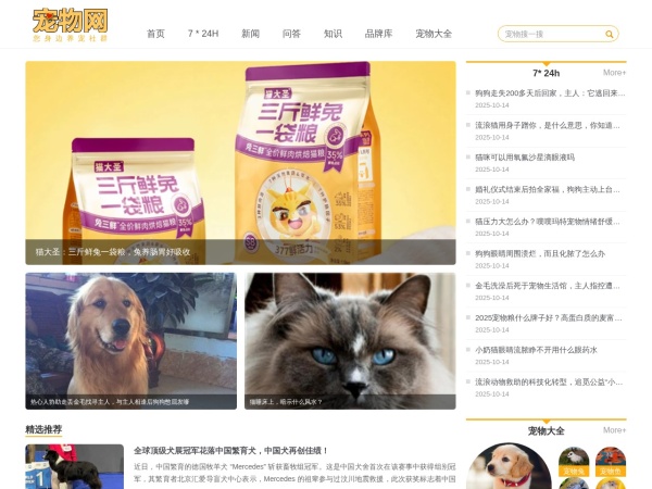 宠物网 - 宠物大全预览图