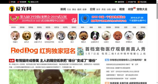 爱宠网预览图