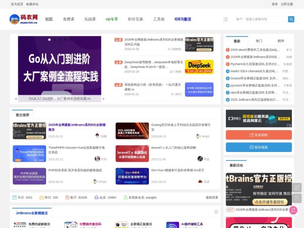 码农网预览图